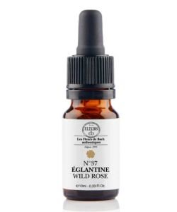 Eglantine - Wild Rose (n°37) BIO, 10 ml